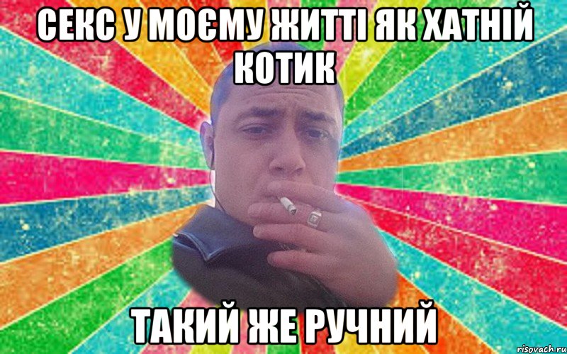 Секс у моєму житті як хатній котик такий же ручний