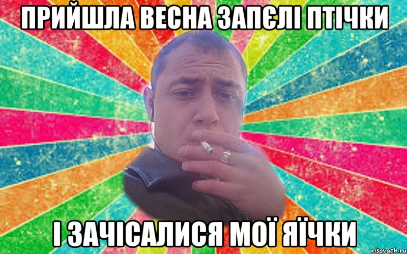 Прийшла весна запєлі птічки і зачісалися мої яїчки