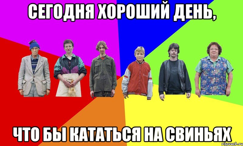 сегодня хороший день, что бы кататься на свиньях