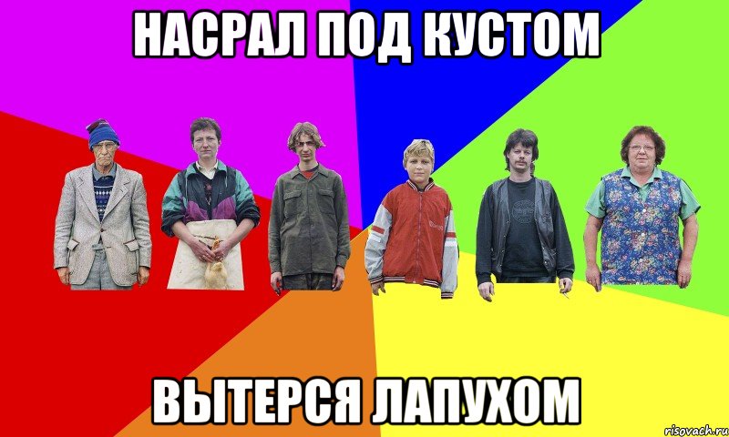 НАСРАЛ ПОД КУСТОМ ВЫТЕРСЯ ЛАПУХОМ