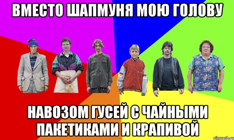 ВМЕСТО ШАПМУНЯ МОЮ ГОЛОВУ НАВОЗОМ ГУСЕЙ С ЧАЙНЫМИ ПАКЕТИКАМИ И КРАПИВОЙ