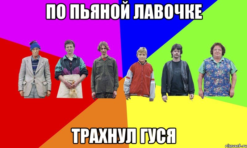 ПО ПЬЯНОЙ ЛАВОЧКЕ ТРАХНУЛ ГУСЯ