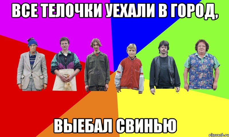 Все телочки уехали в город, выебал свинью