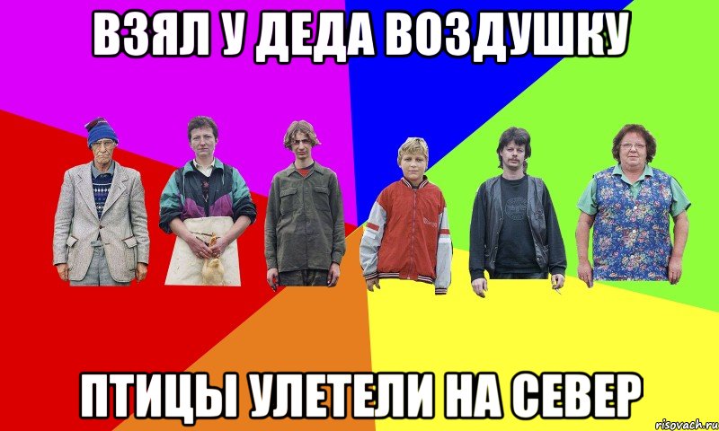 взял у деда воздушку птицы улетели на север