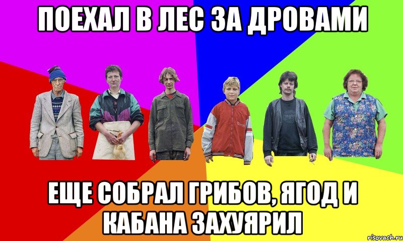 Поехал в лес за дровами Еще собрал грибов, ягод и кабана захуярил