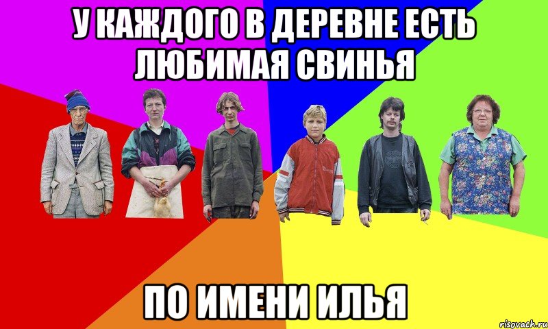 У каждого в деревне есть любимая свинья по имени Илья
