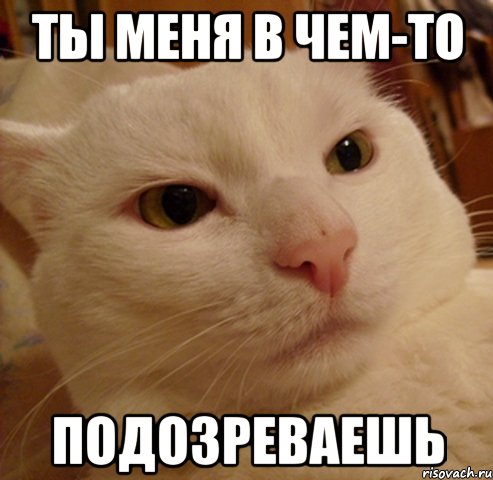 ты меня в чем-то подозреваешь, Мем Дерзкий котэ