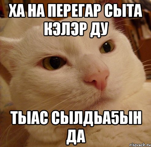 ха на перегар сыта кэлэр ду тыас сылдьа5ын да, Мем Дерзкий котэ