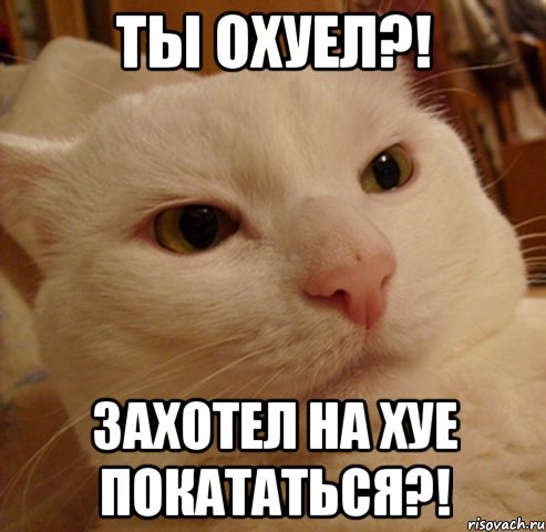 ты охуел?! захотел на хуе покататься?!, Мем Дерзкий котэ