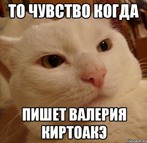 то чувство когда пишет валерия киртоакэ, Мем Дерзкий котэ