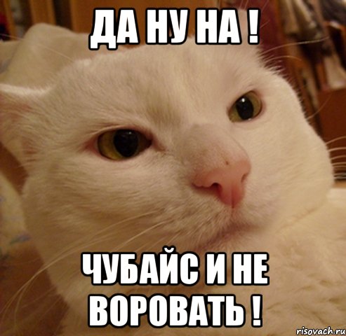 Да ну на ! Чубайс и не воровать !, Мем Дерзкий котэ