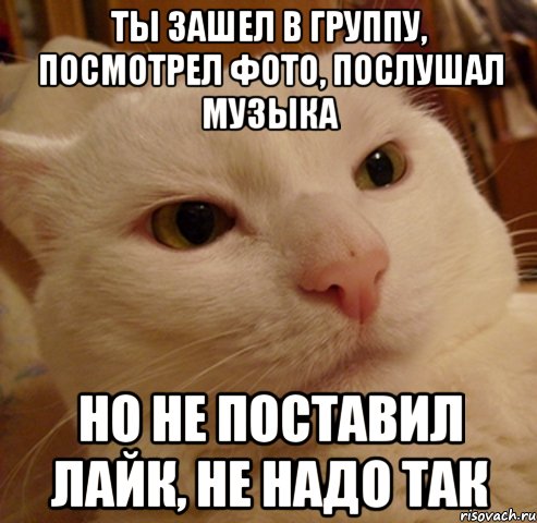 Ты зашел в группу, посмотрел фото, послушал музыка но не поставил лайк, не надо так, Мем Дерзкий котэ