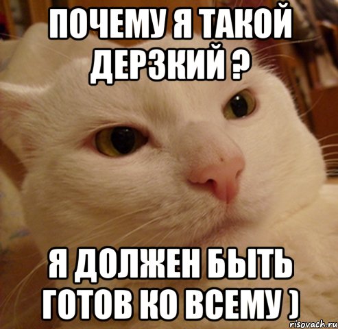 почему я такой дерзкий ? я должен быть готов ко всему ), Мем Дерзкий котэ