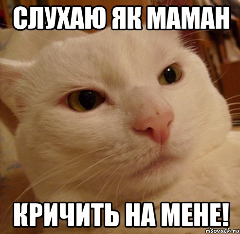 слухаю як маман кричить на мене!, Мем Дерзкий котэ