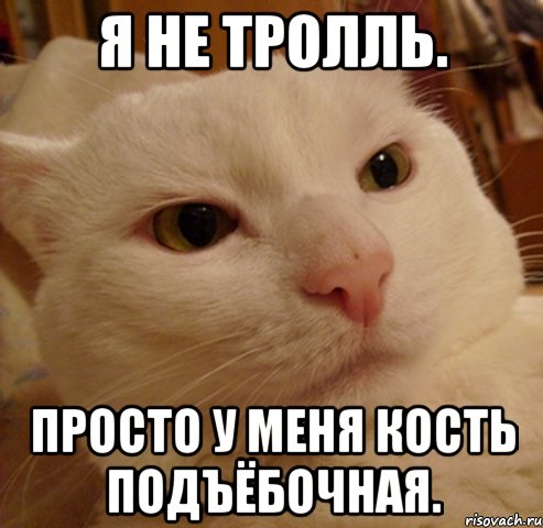 Я не тролль. Просто у меня кость подъёбочная., Мем Дерзкий котэ