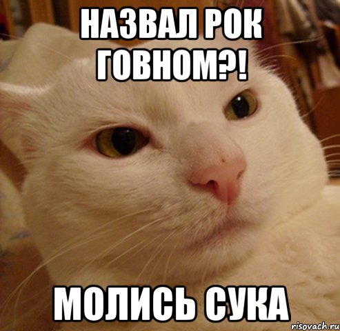 назвал рок говном?! молись сука, Мем Дерзкий котэ