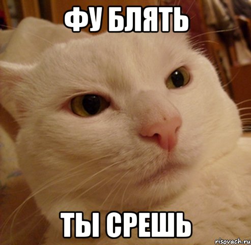 фу блять ты срешь