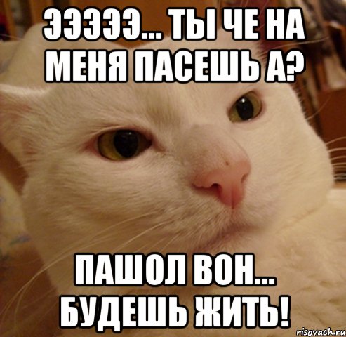 эээээ... ты че на меня пасешь а? пашол вон... будешь жить!
