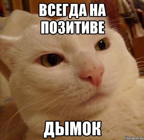 Всегда на позитиве ДымОК