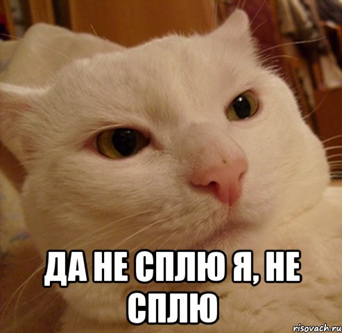  Да не сплю я, не сплю