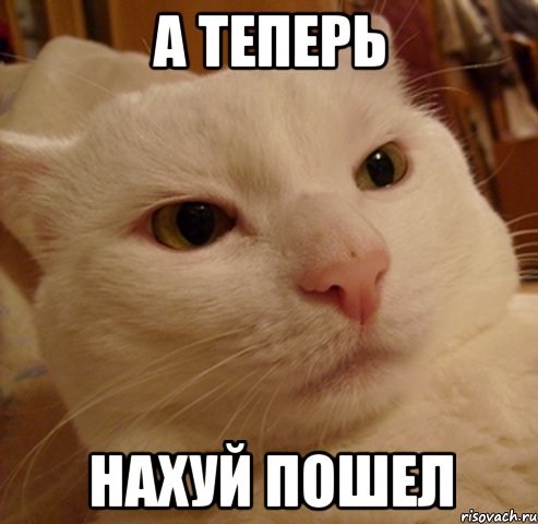 а теперь нахуй пошел