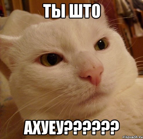 Ты што АХУЕУ??????