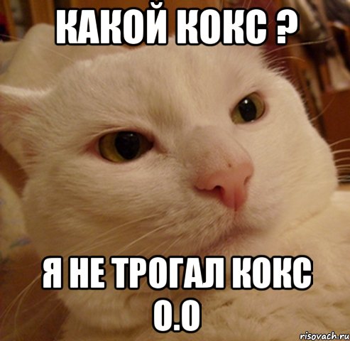 КАКОЙ КОКС ? Я НЕ ТРОГАЛ КОКС О.О