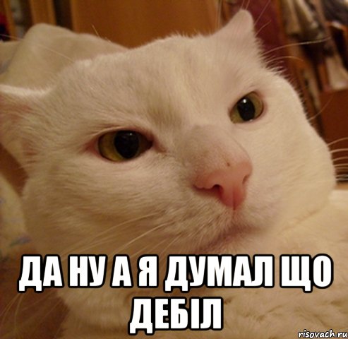  да ну а я думал що дебіл