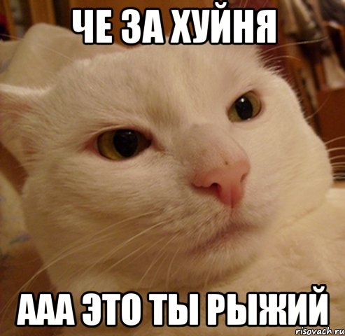 че за хуйня ааа это ты рыжий