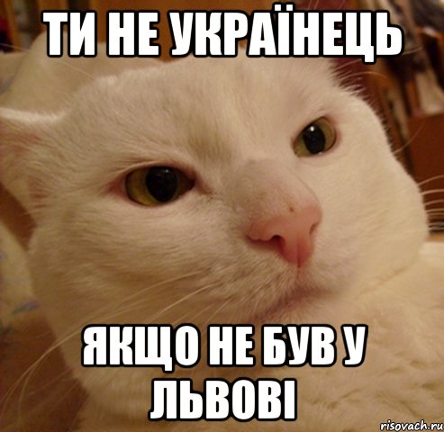 Ти не Українець Якщо не був у Львові