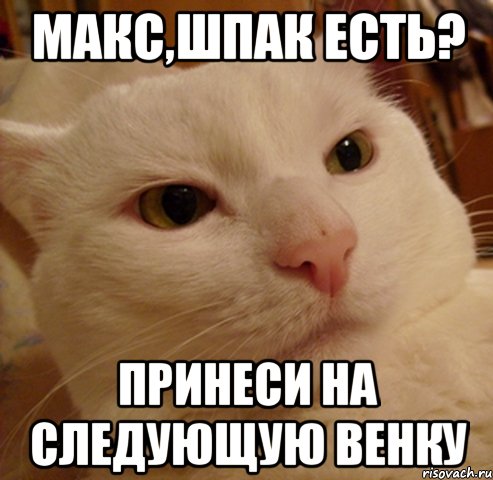МАКС,ШПАК ЕСТЬ? ПРИНЕСИ НА СЛЕДУЮЩУЮ ВЕНКУ