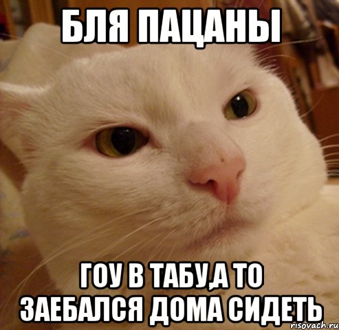 БЛЯ ПАЦАНЫ ГОУ В ТАБУ,А ТО ЗАЕБАЛСЯ ДОМА СИДЕТЬ