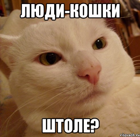 Люди-кошки штоле?