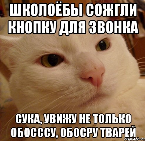 ШКОЛОЁБЫ СОЖГЛИ КНОПКУ ДЛЯ ЗВОНКА СУКА, УВИЖУ НЕ ТОЛЬКО ОБОСССУ, ОБОСРУ ТВАРЕЙ