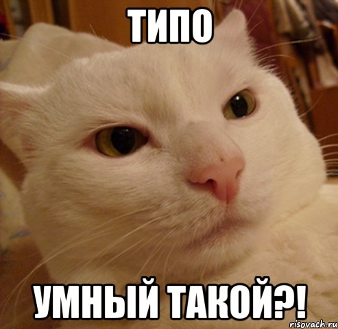 Типо умный такой?!