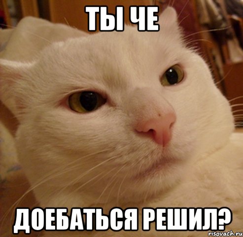 Ты че доебаться решил?