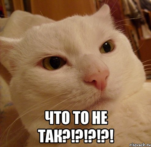  ЧТО ТО НЕ ТАК?!?!?!?!
