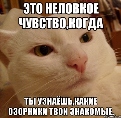 Это неловкое чувство,когда ты узнаёшь,какие озорники твои знакомые.