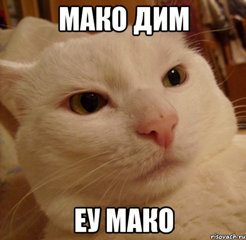 Мако дим Еу Мако