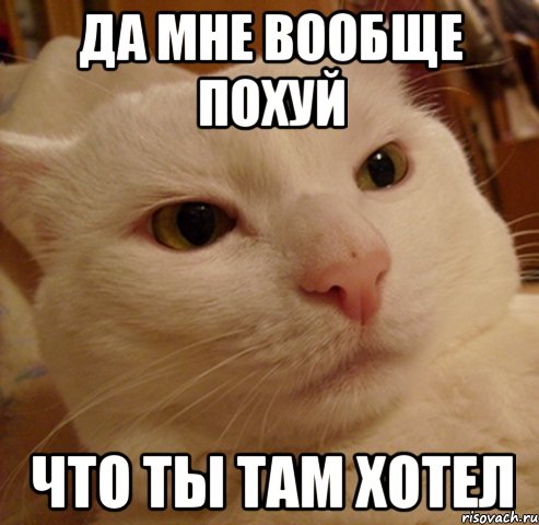 да мне вообще похуй что ты там хотел