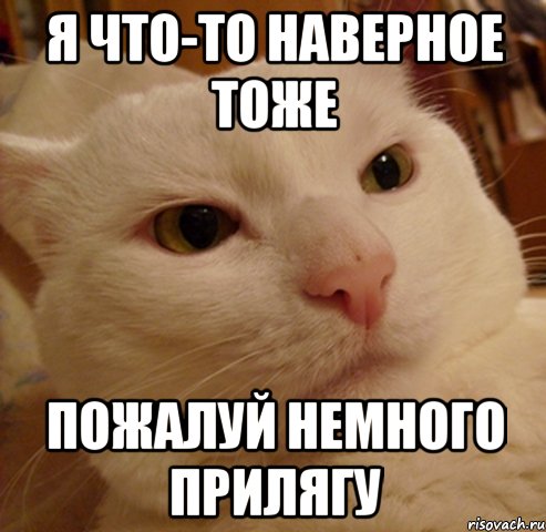 я что-то наверное тоже пожалуй немного прилягу