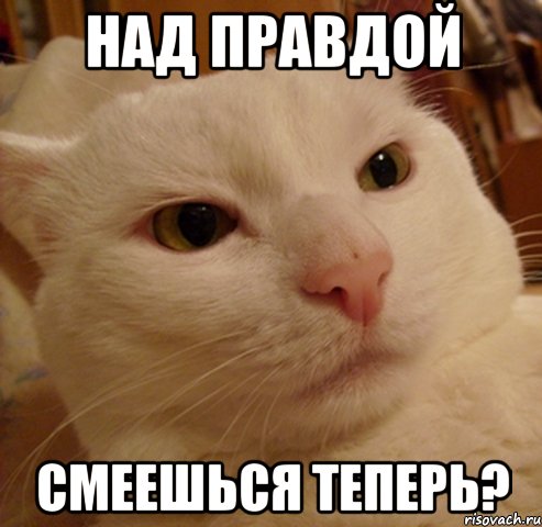 Над правдой смеешься теперь?
