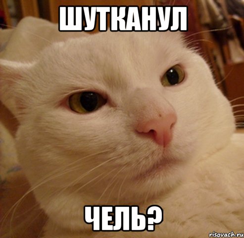 шутканул чель?