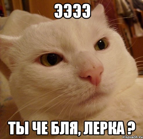ээээ ты че бля, лерка ?