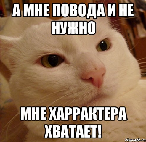 а мне повода и не нужно мне харрактера хватает!