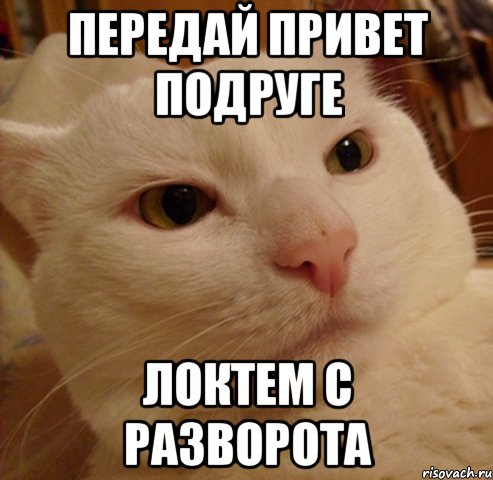Передай привет подруге Локтем с разворота