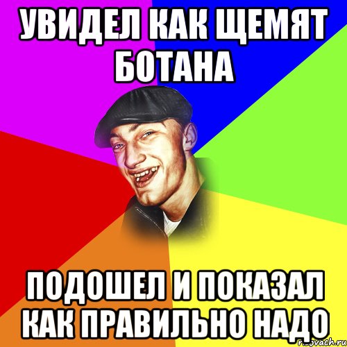 УВИДЕЛ КАК ЩЕМЯТ БОТАНА ПОДОШЕЛ И ПОКАЗАЛ КАК ПРАВИЛЬНО НАДО, Мем ДЕРЗКИЙ БЫДЛОМЁТ