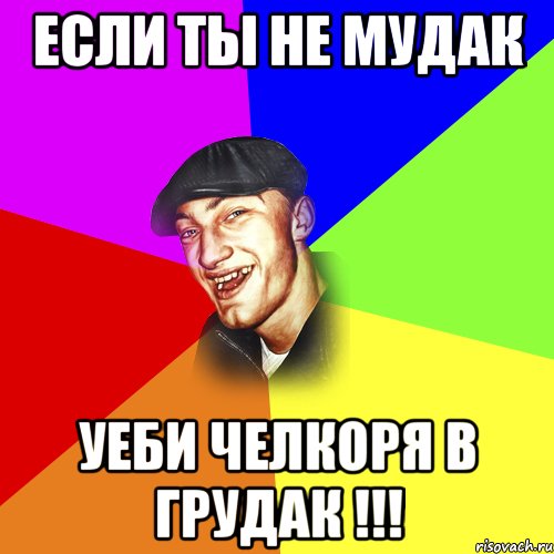 ЕСЛИ ТЫ НЕ МУДАК УЕБИ ЧЕЛКОРЯ В ГРУДАК !!!