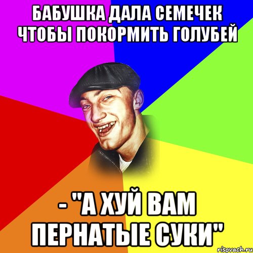 БАБУШКА ДАЛА СЕМЕЧЕК ЧТОБЫ ПОКОРМИТЬ ГОЛУБЕЙ - "А ХУЙ ВАМ ПЕРНАТЫЕ СУКИ", Мем ДЕРЗКИЙ БЫДЛОМЁТ