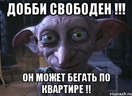 Добби свободен !!! Он может бегать по квартире !!